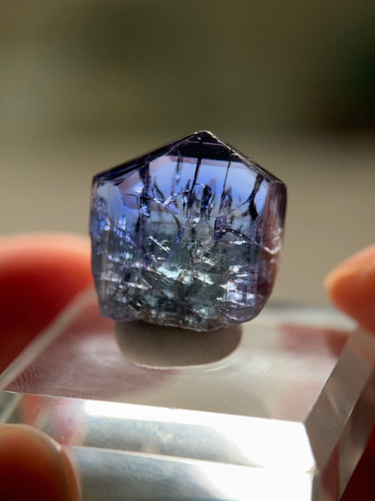 Tanzanite (Unheated)(21.8ct)