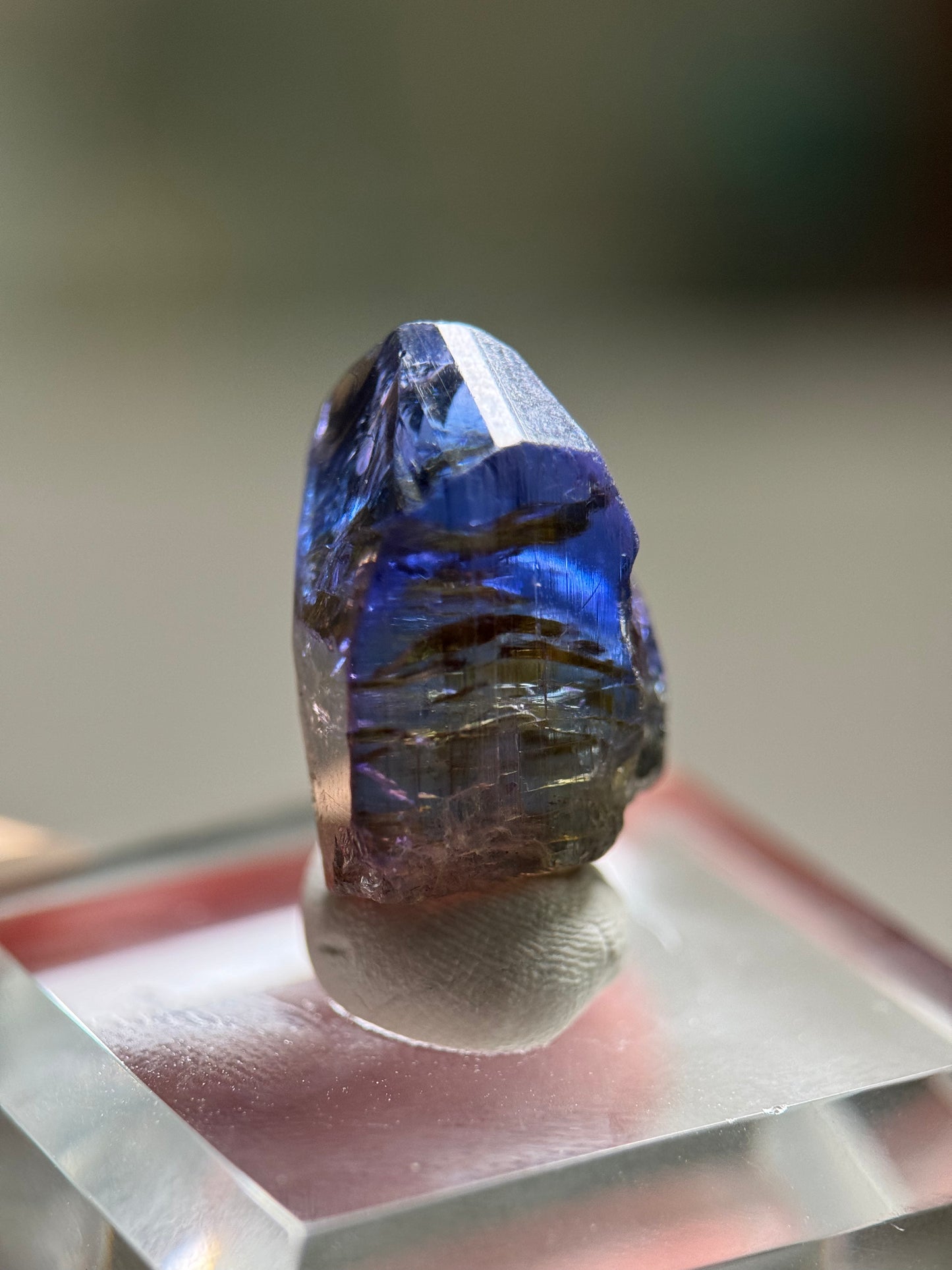 Tanzanite (Unheated)(20.5ct)