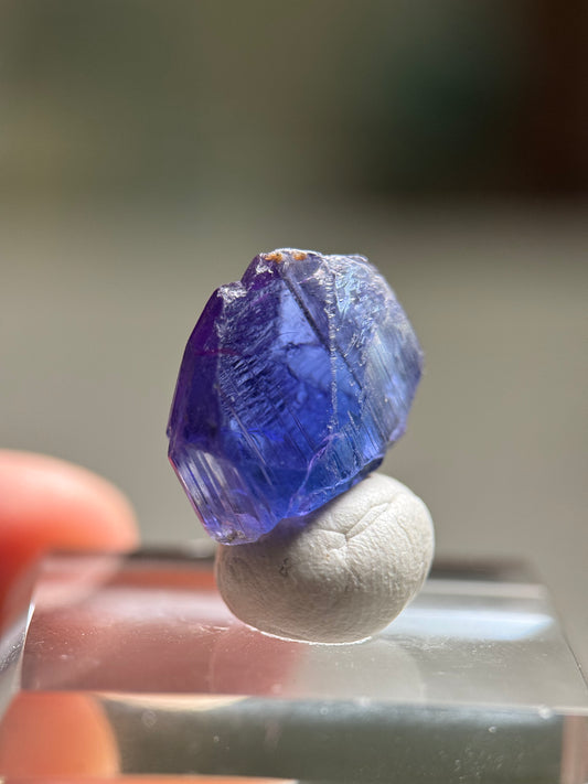 Tanzanite (Unheated)(11.9ct)