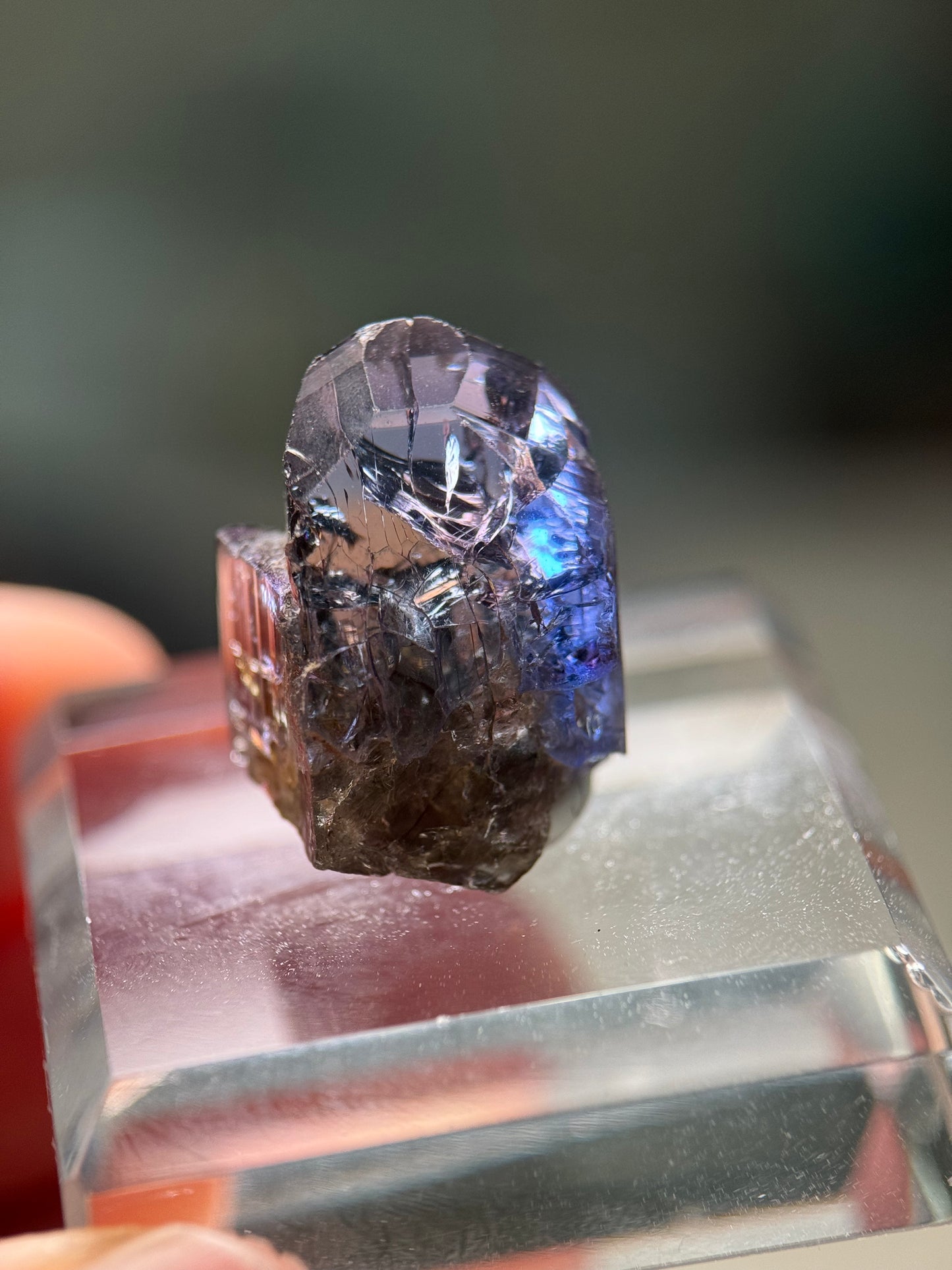 Tanzanite (Unheated)(20.4ct)