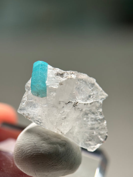 Paraiba Tourmaline in matrix