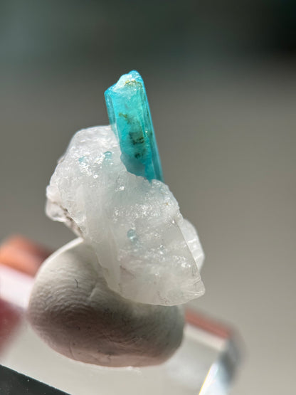 Paraiba Tourmaline in matrix