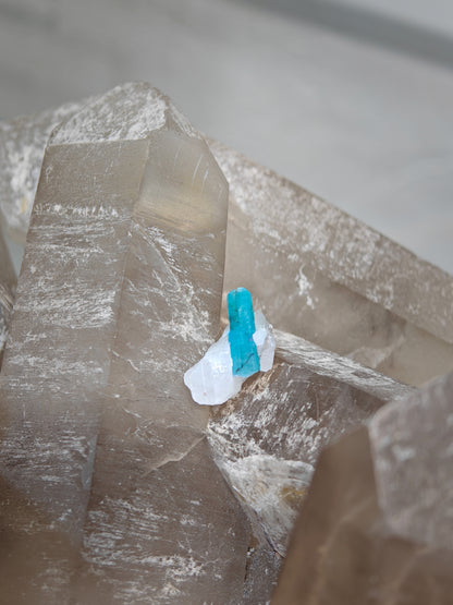 Paraiba Tourmaline in matrix