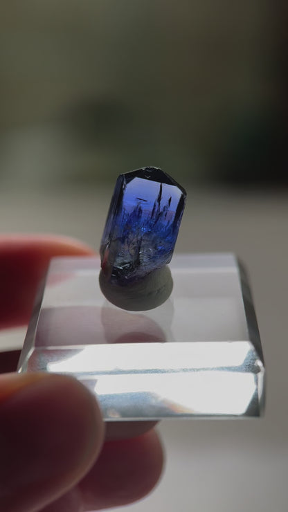 Tanzanite (Unheated)(11.5ct)