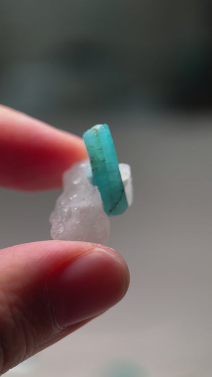 Paraiba Tourmaline in matrix