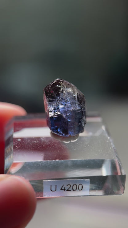 Tanzanite (Unheated)(13.8ct)