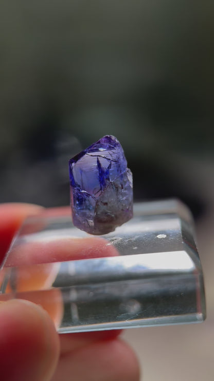 Tanzanite (Unheated)(7.2ct)